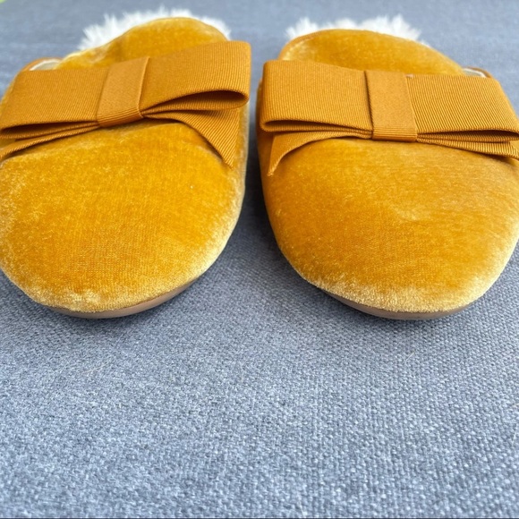 Birdies - Picture 11 of 11